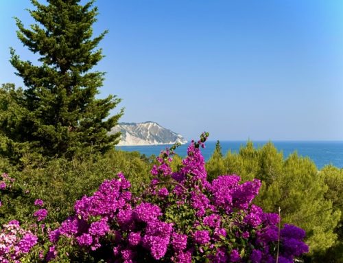 …nach Zakynthos